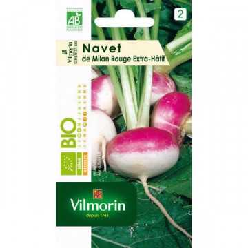 Navet de milan rouge extra...
