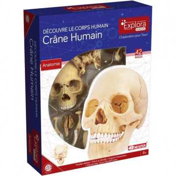 MGM - Explora - Anatomie...