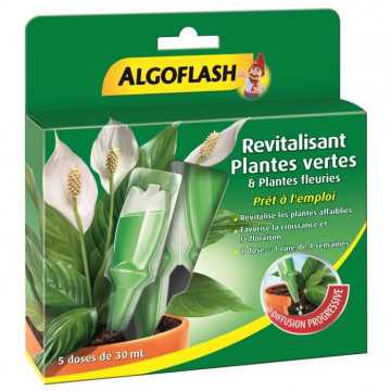 ALGOFLASH Monodose...
