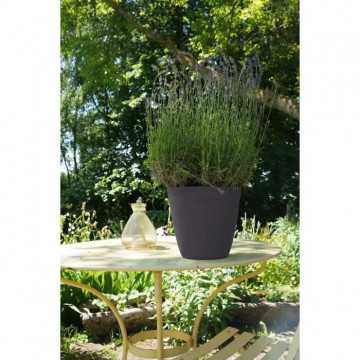 PoeTIC Pot Lilo 34 - Ardoise