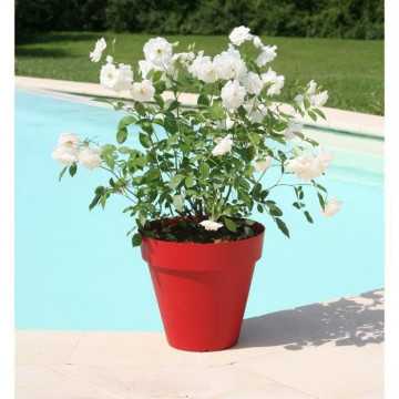 RIVIERA Pot de fleurs...