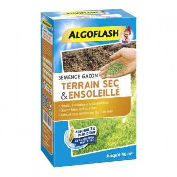 ALGOFLASH - Gazon terrain...
