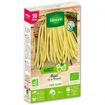 Haricot nain mangetout...