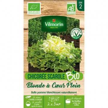 Chicorée scarole blonde a...