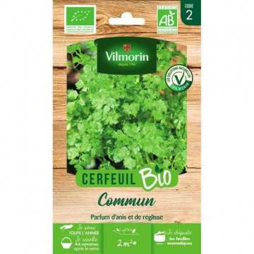 Cerfeuil commun bio Vilmorin