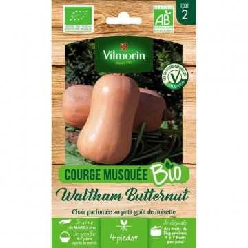 Courge musquée Waltham...