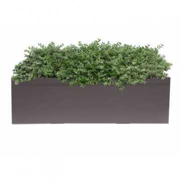 PoeTIC Jardiniere Scala 60...