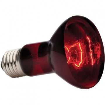 EXO TERRA Lampe infrarouge...