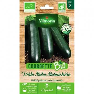 Courgette verte noire...