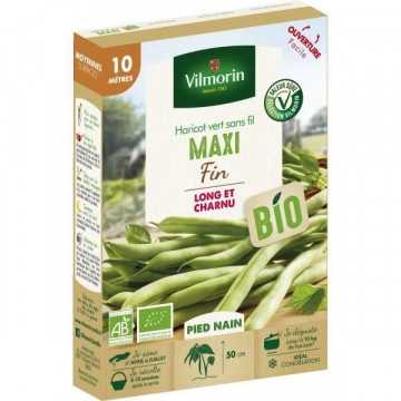 Haricot maxi bio 10M Vilmorin