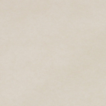 Lotus ivory 60X60...
