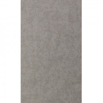Lynx light grey 30X60...
