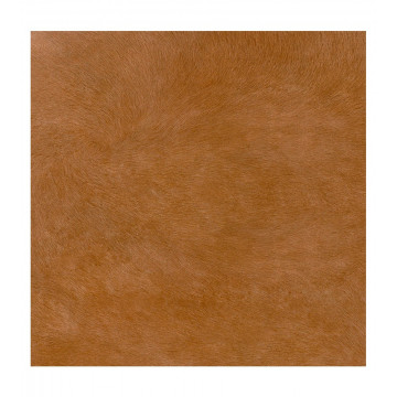 Safari marron...