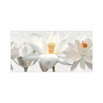Staturio decor HL 01 30x60...