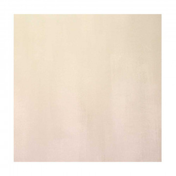 ARB06RSONGRYZMSNLR 60x60...