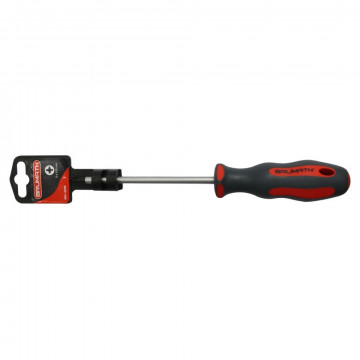 Tournevis Pozi 1x100 Brumath