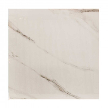 cararra edge 60*60
