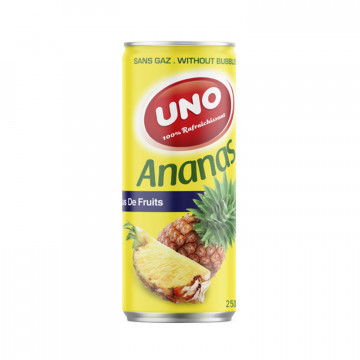 Jus ananas en canette 25cl