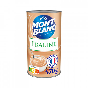 Crème Dessert Praliné 570g