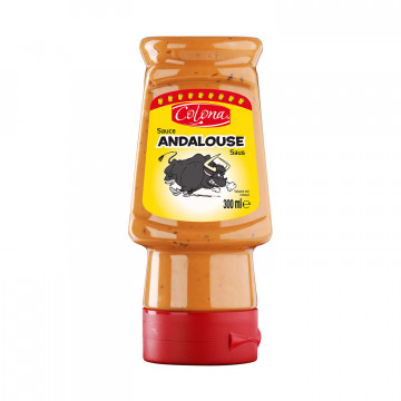 Sauce andalouse en tube 300 ml