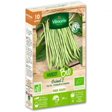Haricot nain vert sans fil...