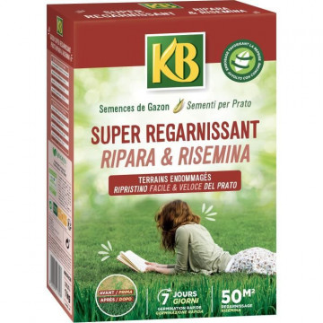 KB - Semences gazon - Super...