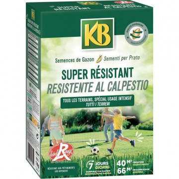 KB - Semences gazon - Super...