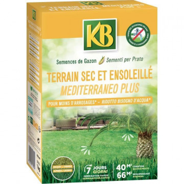 KB - Semences gazon -...