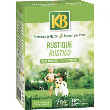 KB - Semences gazon -...