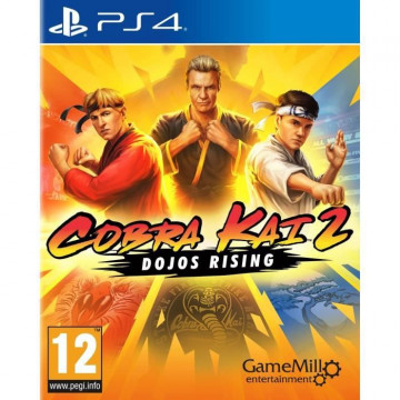 Cobra Kai 2 Dojos rising...