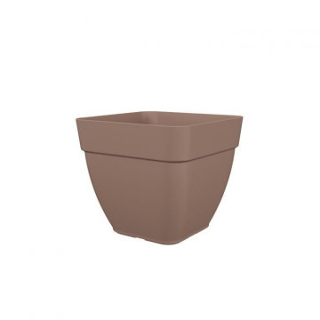 Pot a fleurs et plantes...