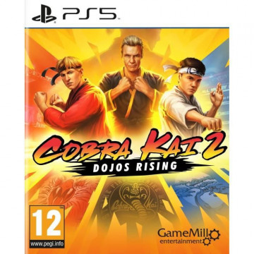 Cobra Kai 2 Dojos rising...