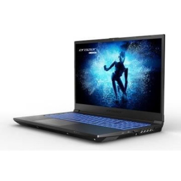 PC portable Gaming - MEDION...