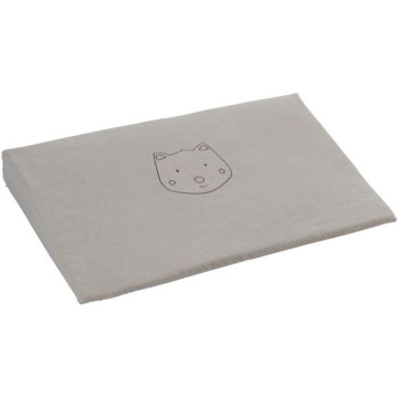 Plan incliné 10° P'tit Loup...