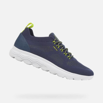 Geox Tennis Baskets basses...