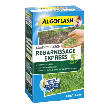 ALGOFLASH - Gazon...