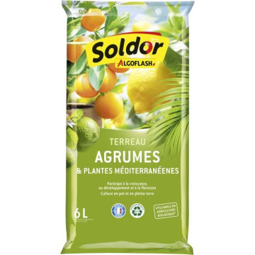 ALGOFLASH - Terreau Agrumes...
