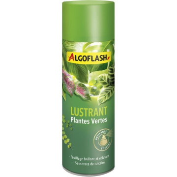 ALGOFLASH - Lustrant...
