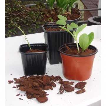 Lot de 20 pots bouturage...