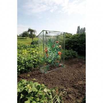 Nature Serre a tomates...