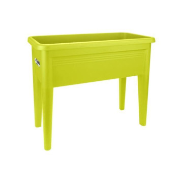 Green Basics Table De...