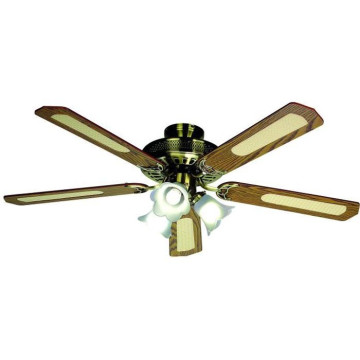 Ventilateur de plafond...