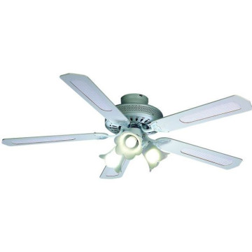 Ventilateur de plafond...