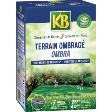 KB - Semences gazon -...