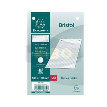 Papier bristol perforé 5x5...