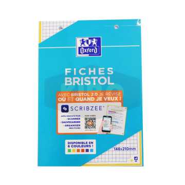 Fiches bristol petits...