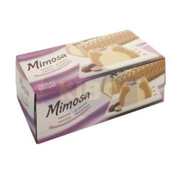 Bûche glacée vanille...
