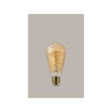 2 ampoules décoratives led...