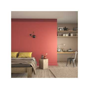 Peinture Mur, Boiserie,...