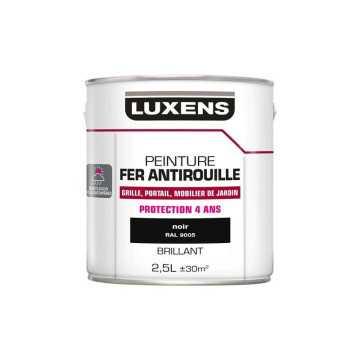 Peinture Fer Extérieur...